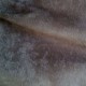 Tissu peau de peche uni souris aspect alcantara