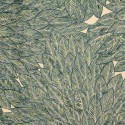 Tissu velours fantaisie "Chaman" Thevenon