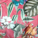 Coupon 1m x 1m40 velours ameublement oiseaux Prestigious