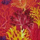 Les coraux fond framboise - Tissu ameublement - Toile 100% coton au mètre - Thevenon