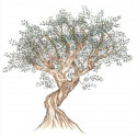 Panneau mural toile coton "Olivier" Thevenon