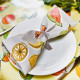 Situation 3 "Fruit salad"  Lemon 5089-554 Toile cirée butterscotch finition brillante Sketch Prestigious Textiles