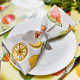 Situation 3 "Fruit salad" Lemon 5089-554 Toile cirée butterscotch finition brillante Sketch Prestigious Textiles