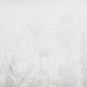 Casal "Fruscio" high height sheer curtain