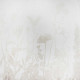 Casal "Fruscio" high height sheer curtain