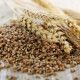 bouillotte-seche-graine-de-ble-fabrication-francaise