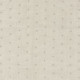 Camengo "Source" feathered sail
