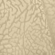tissu-brodé-non-feu-m1-écume-crème-ameublement-sièges-casal