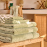 100% cotton sponge Caresse lime- Le Jacquard Français