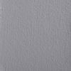 Gris 9910