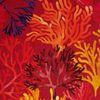 Les coraux lin fond framboise 2473803