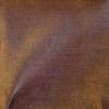 Douceur brun 1293935