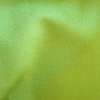 Sweet love vert tilleul 1177957