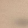 Studio Beige 2187728