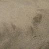 Velvet taupe