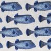 Poissons coffre crème