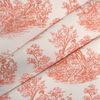 Corail 2479