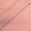 Rayure Corail 2501