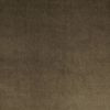 Walnut 152
