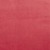 Fuchsia 238