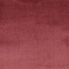 Damson 305