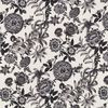 2632601 noir-fond-creme