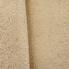 16503-73 coquillage
