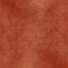 Orange 42481630