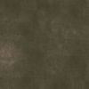 Taupe 42485632