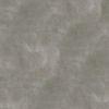 Gris cendré 42485863