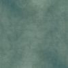 Vert de gris 42482442