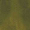 Vert mousse 42486424