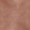 Rose blush 42481590