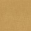 Ambre 41951797