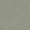 Olive B41964772