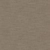 Chamois B41961122