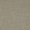 Chamois 49950713