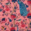Alexandra fond rose 2650603