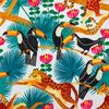 Toucans fond blanc 2669601