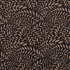 Muse 2668602 fond noir