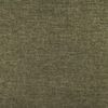 Manzana 84031-79 lichen