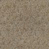 Féline 13523-74 champagne