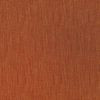 Paillote 13526-47 fruit exotique