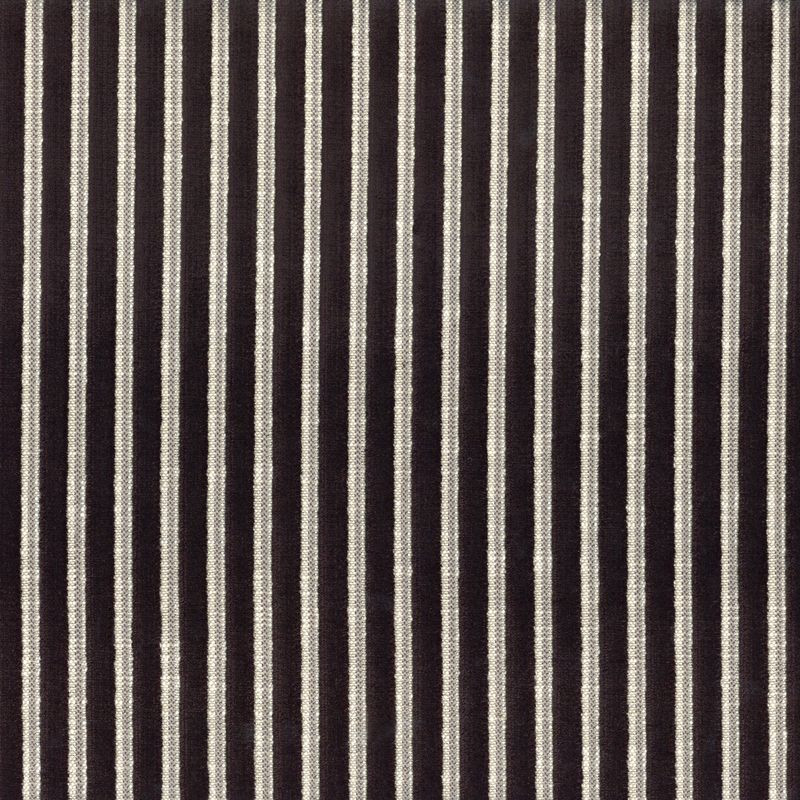 Zébu 11630211 noir