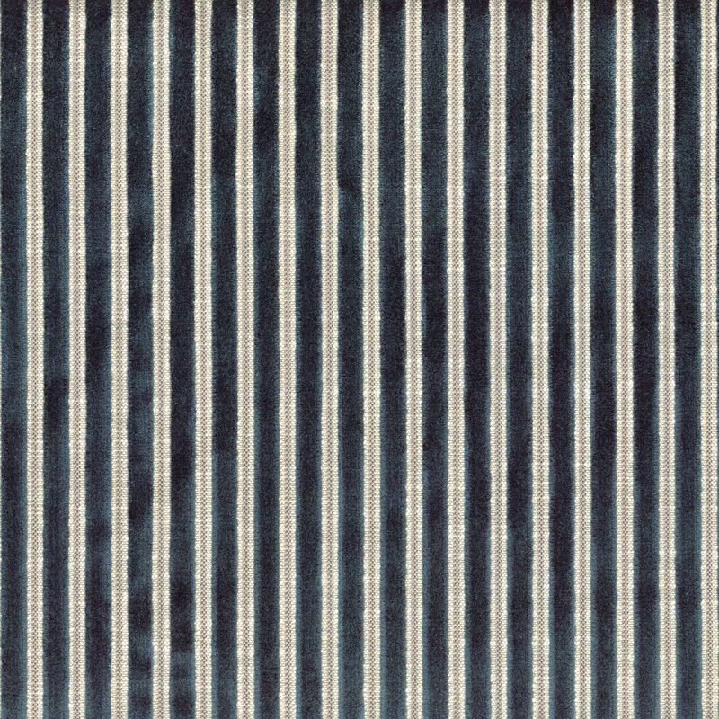 Zébu 11630334 marine