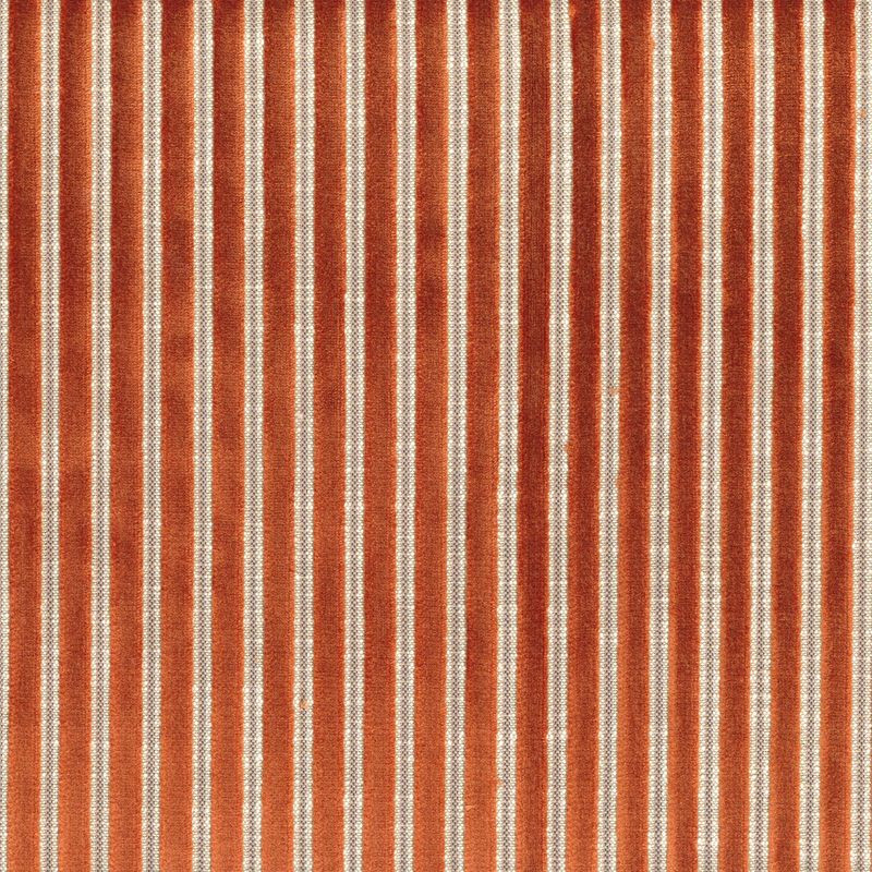 Zébu 11630029 orange brûlée