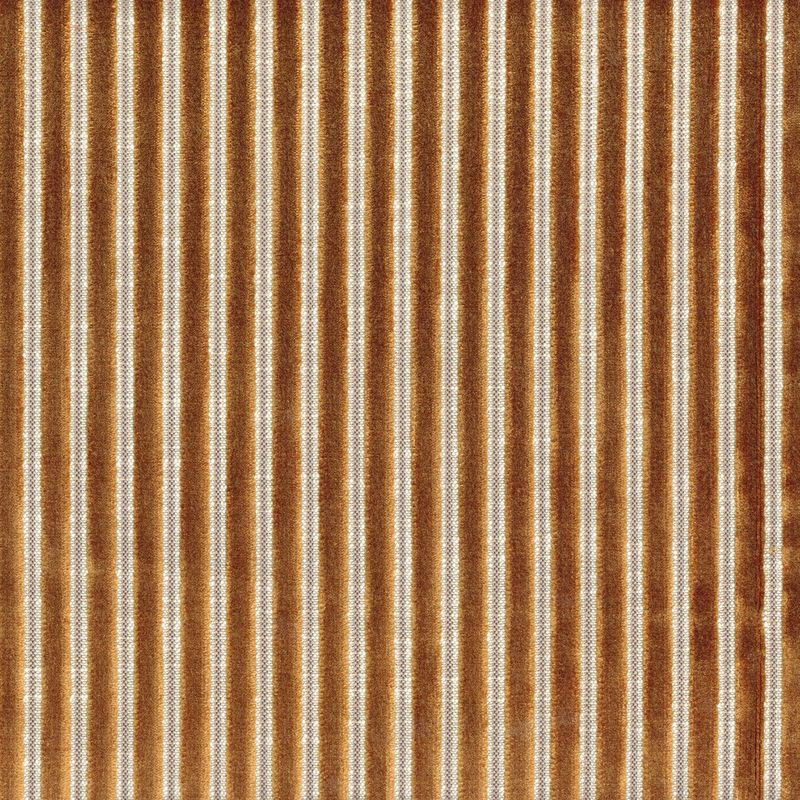 Zébu 11630975 camel