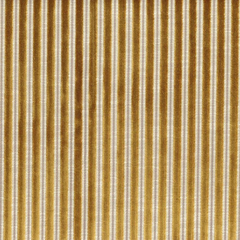 Zébu 11630899 moutarde