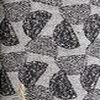 Charbon Pois 31240