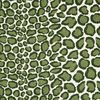 Coup de Griffe 2680503 vert